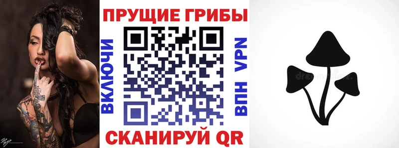 Галлюциногенные грибы Psilocybine cubensis  закладка  Красноперекопск 
